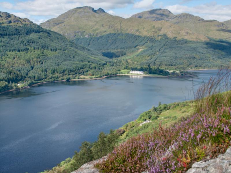 Ardgartan from a distance