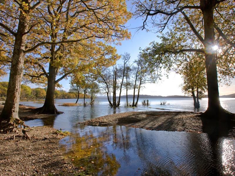 Loch Lomondside